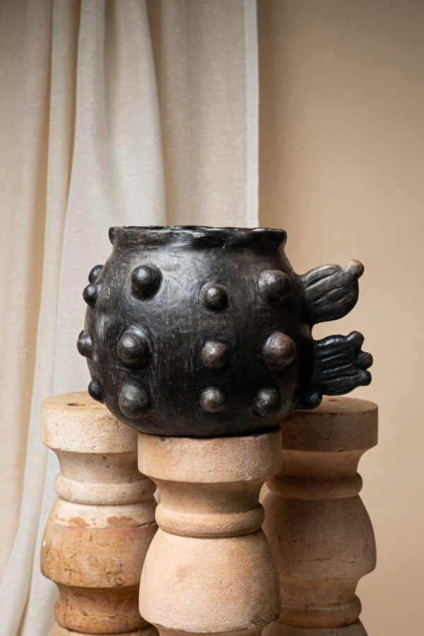 Vase Cactus