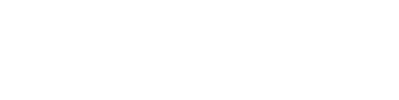 logo light